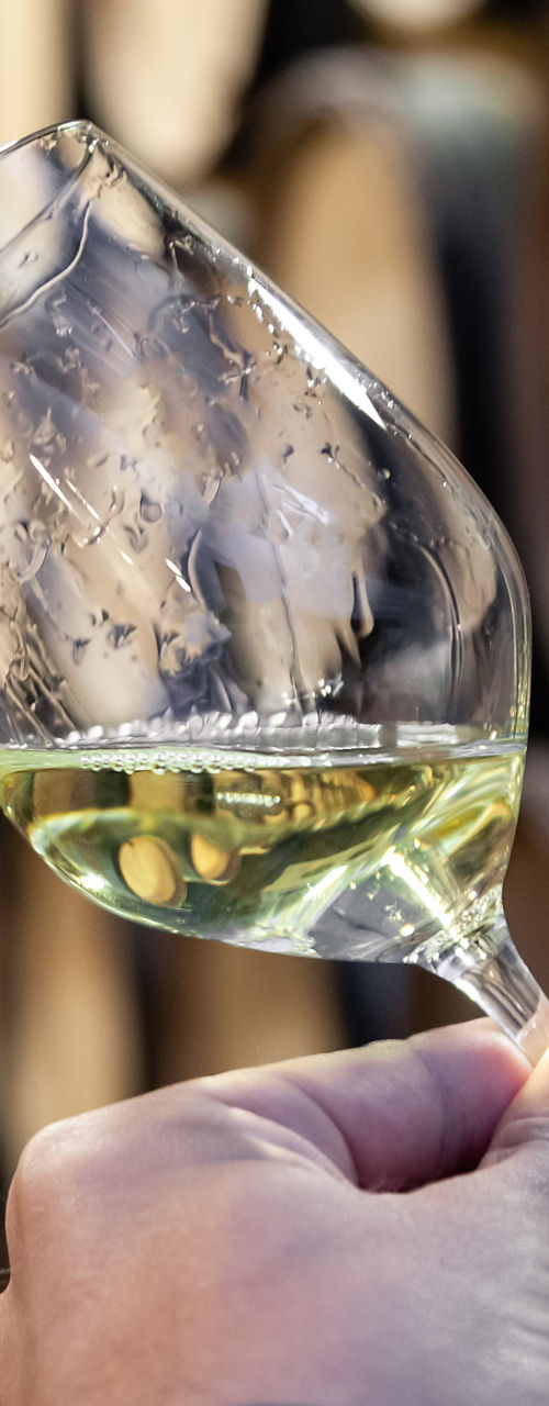 Wine glass in barrel cellar setting