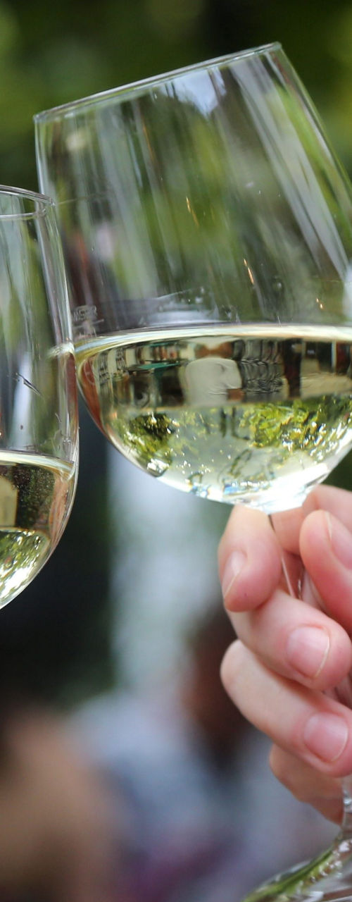 Two wine glasses clinking outdoors