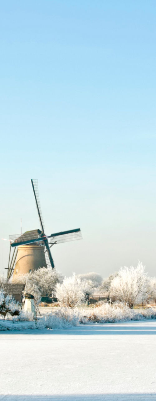 Winter ice skating near Dutch windmills