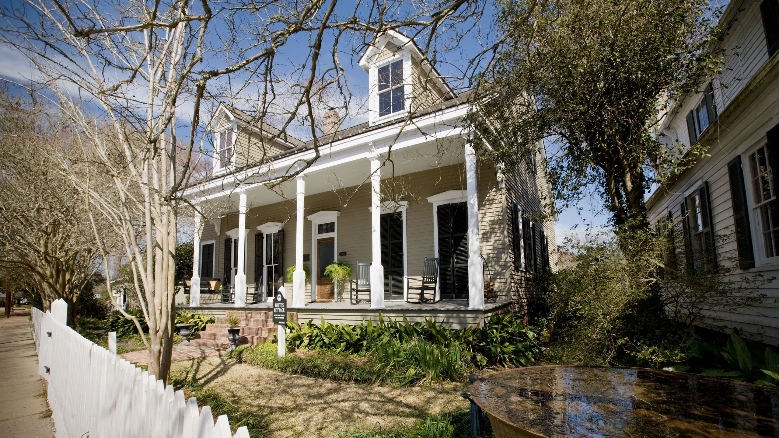 New Orleans & Southern Charms