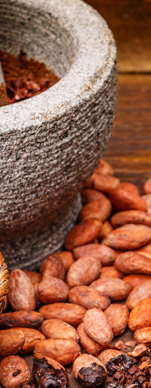Cocoa beans and powder with mortar
