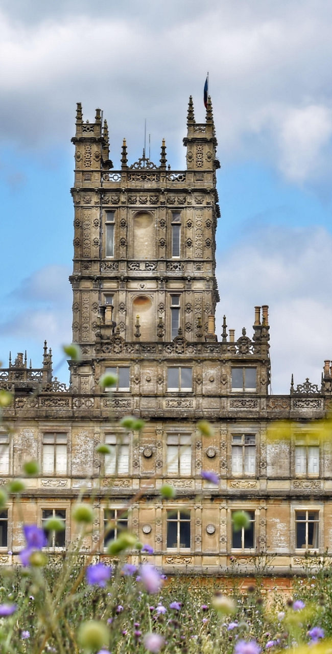 Historic castle with wildflower foreground