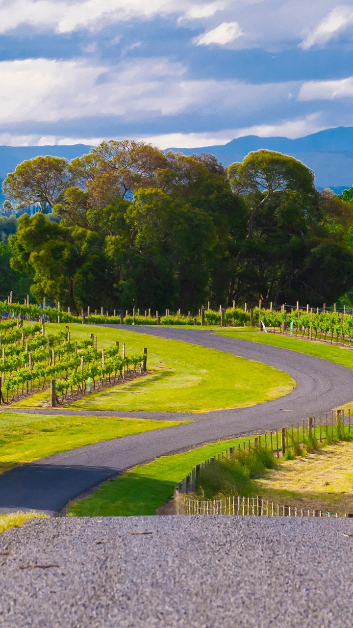 E-Bike & Winery