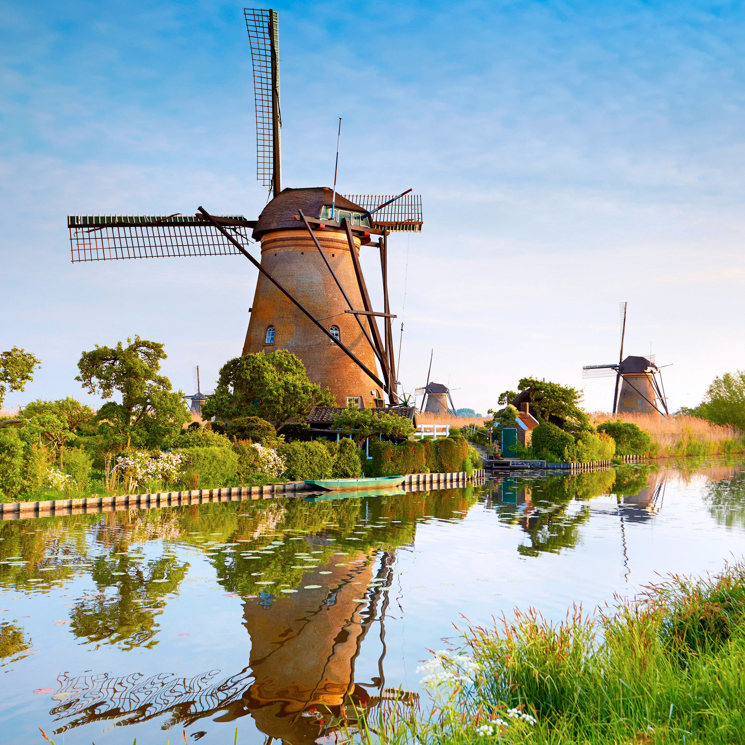 About the Rhine River: History, Culture & Cuisine | Viking®