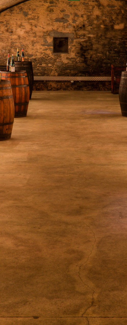 Wine cellar with wooden barrels and bottles