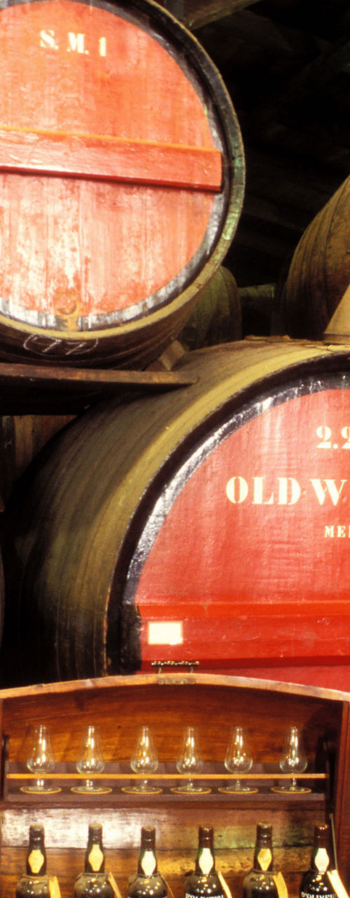 Large wine barrels in rustic cellar