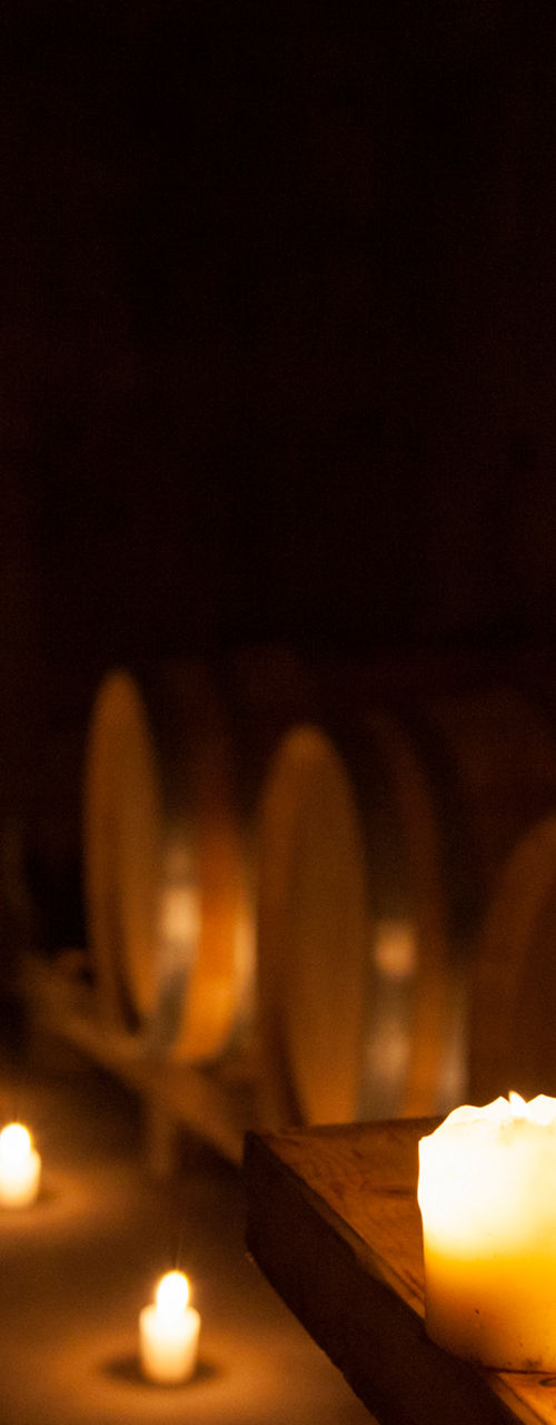Red wine bottle and glass in cellar