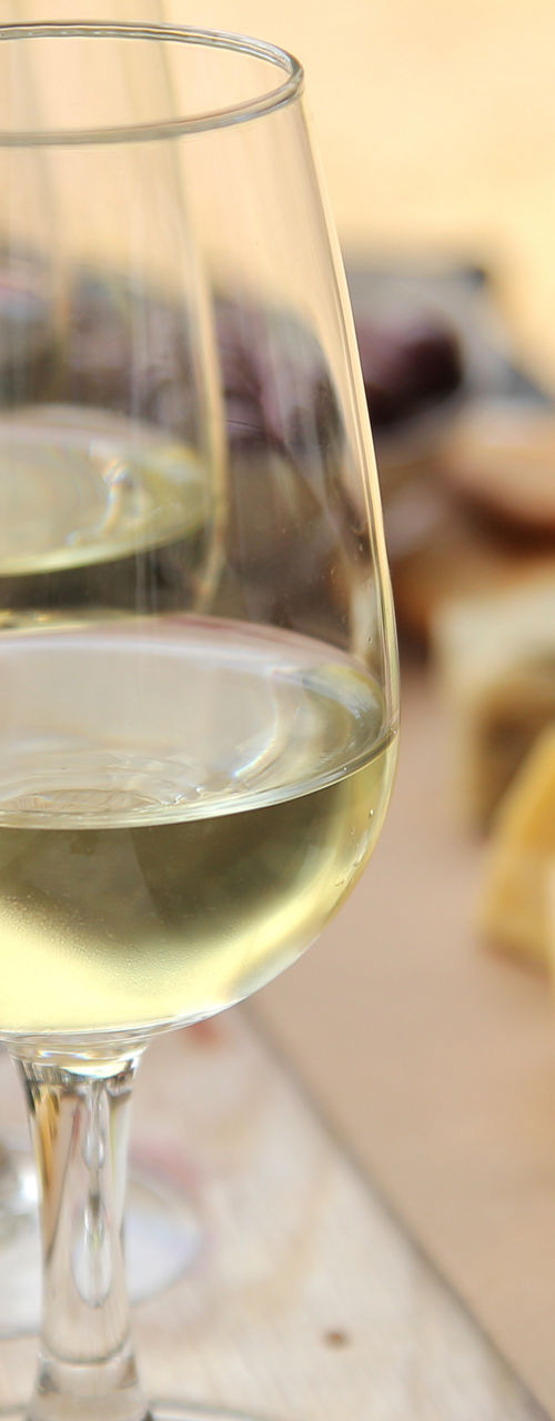 Wine tasting with cheese pairing outdoors