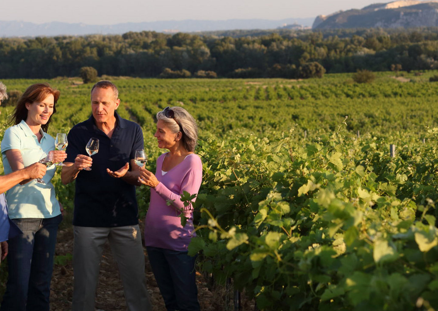 Group enjoying wine in vineyard setting