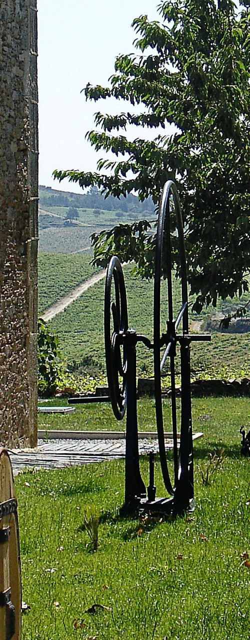 Rustic Wine Barrel in Vineyard Setting