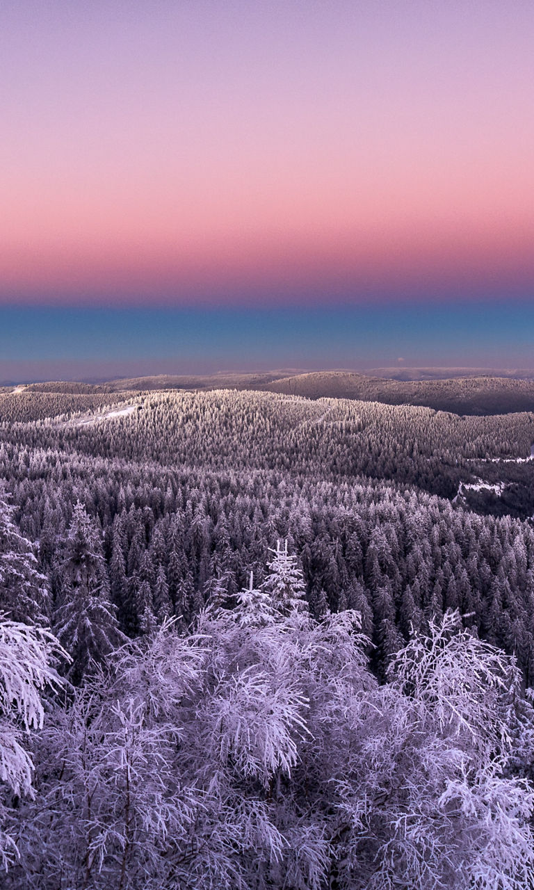 Snowy forest at sunset with pastel sky