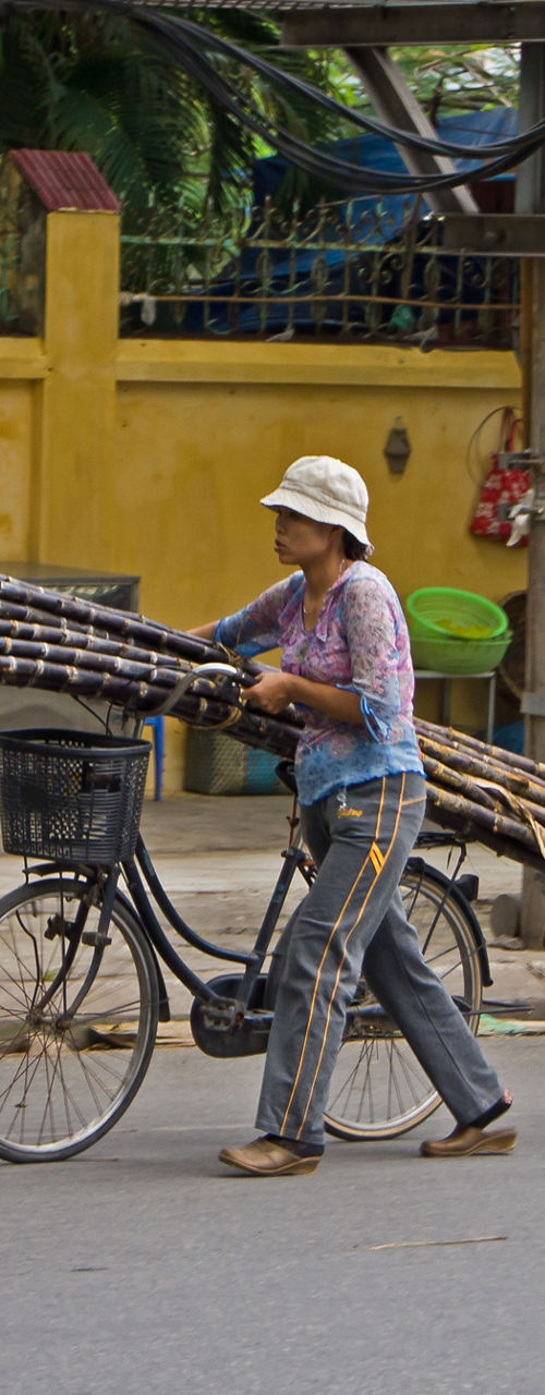 Street vendor carrying sugarcane on bicycle