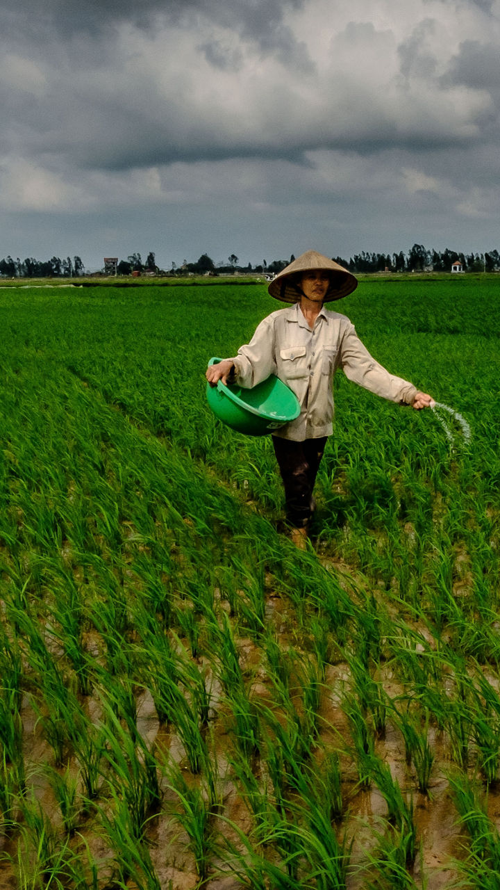 A Glimpse of Yen Duc Village Life