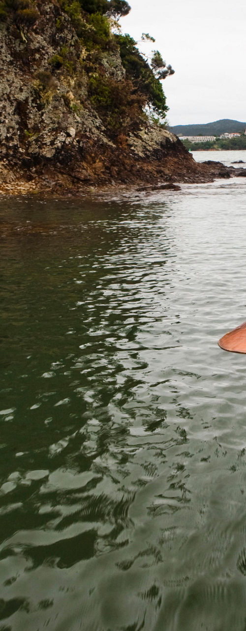 Women paddling in scenic coastal waters