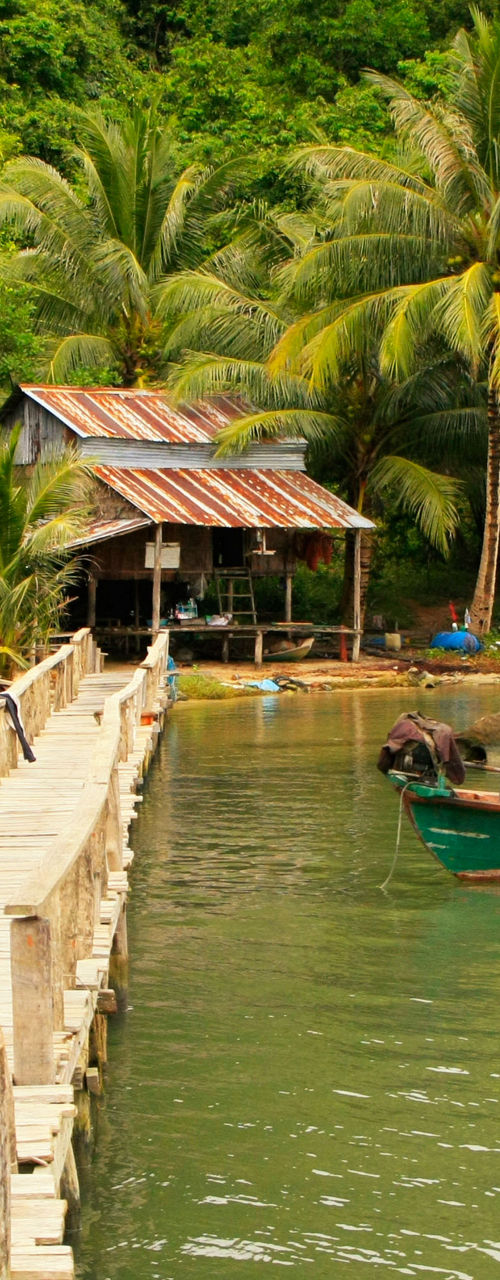 Tropical dock with boat and lush greenery