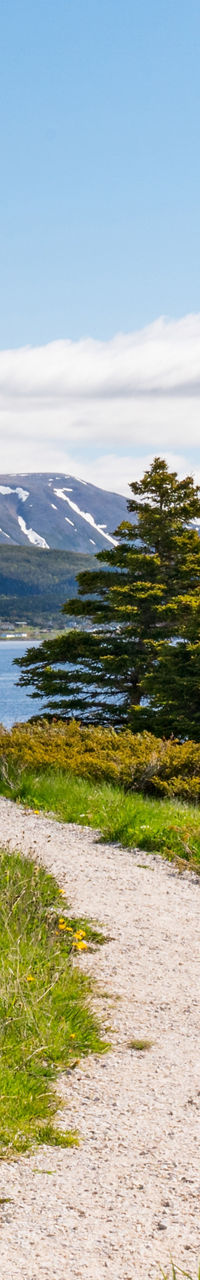Scenic lighthouse with mountain backdrop