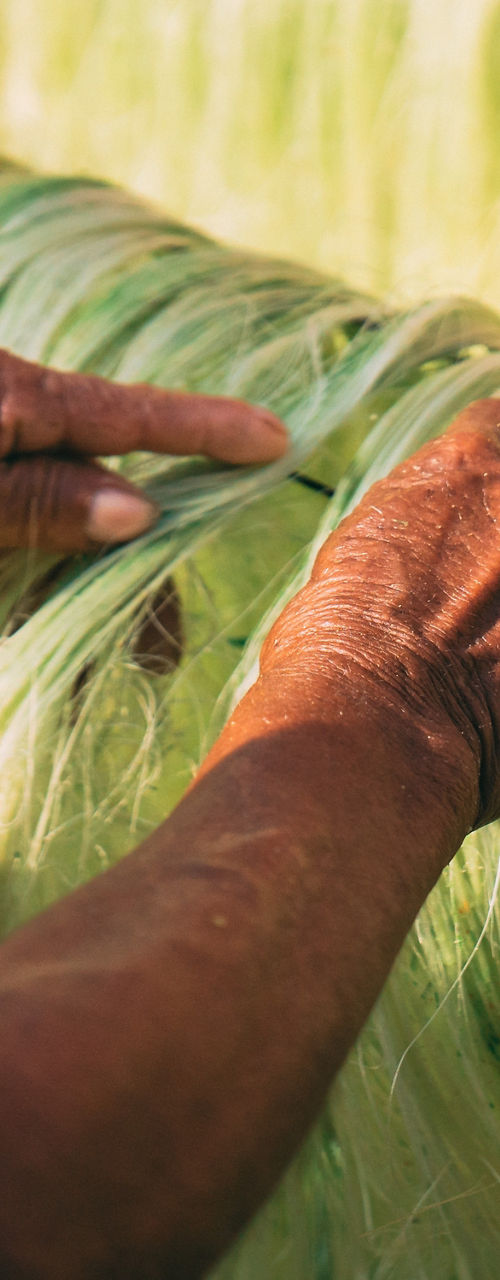 Hands weaving green fibers in outdoor sunlight