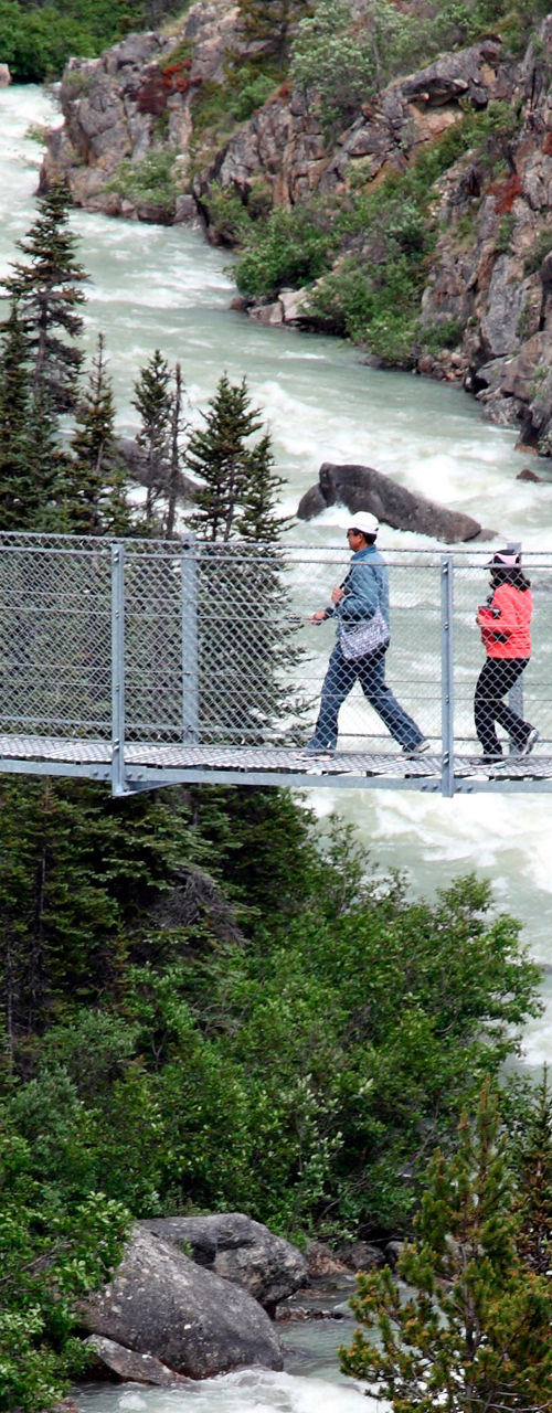 People crossing suspension bridge over river