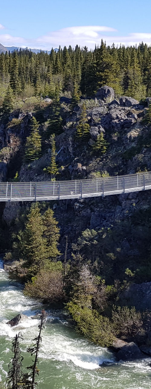 Suspension bridge over scenic river canyon
