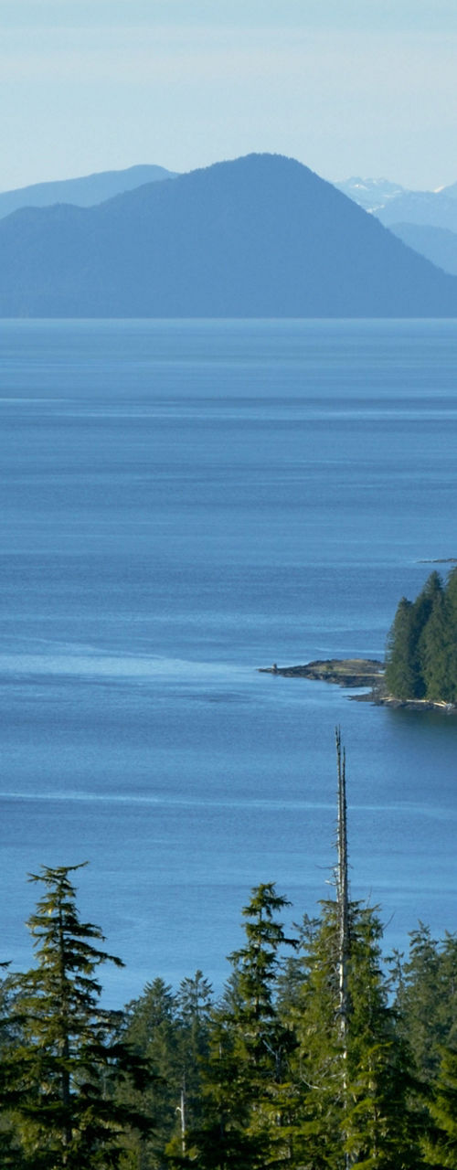 Scenic view of forested islands and mountains