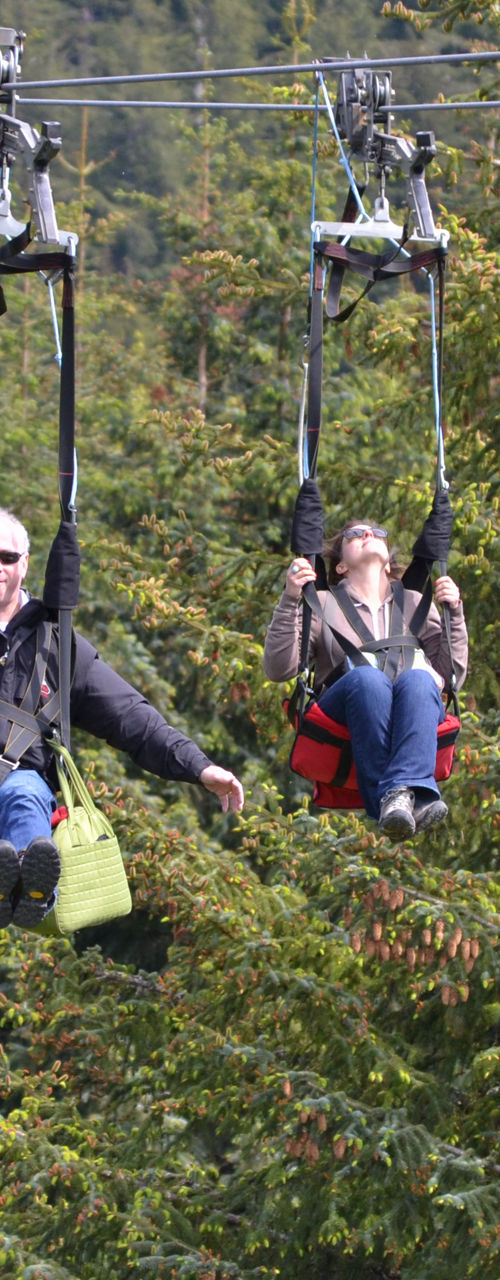 Two people ziplining through forest scenery