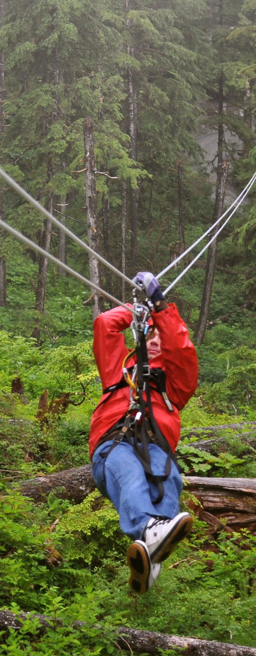 Person ziplining through lush forest
