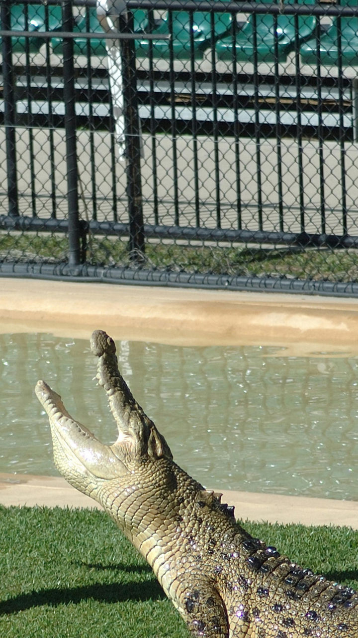 Australia Zoo